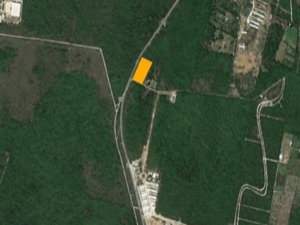 TERRENO RUSTICO EN VENTA, EN CONKAL, YUCATÁN